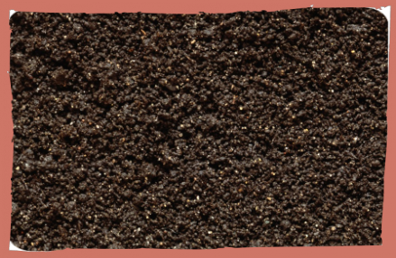 Купить грунт