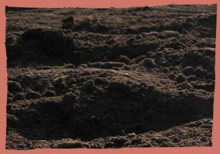 Купить землю