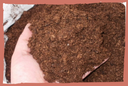 Купить перегной