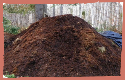 Купить навоз