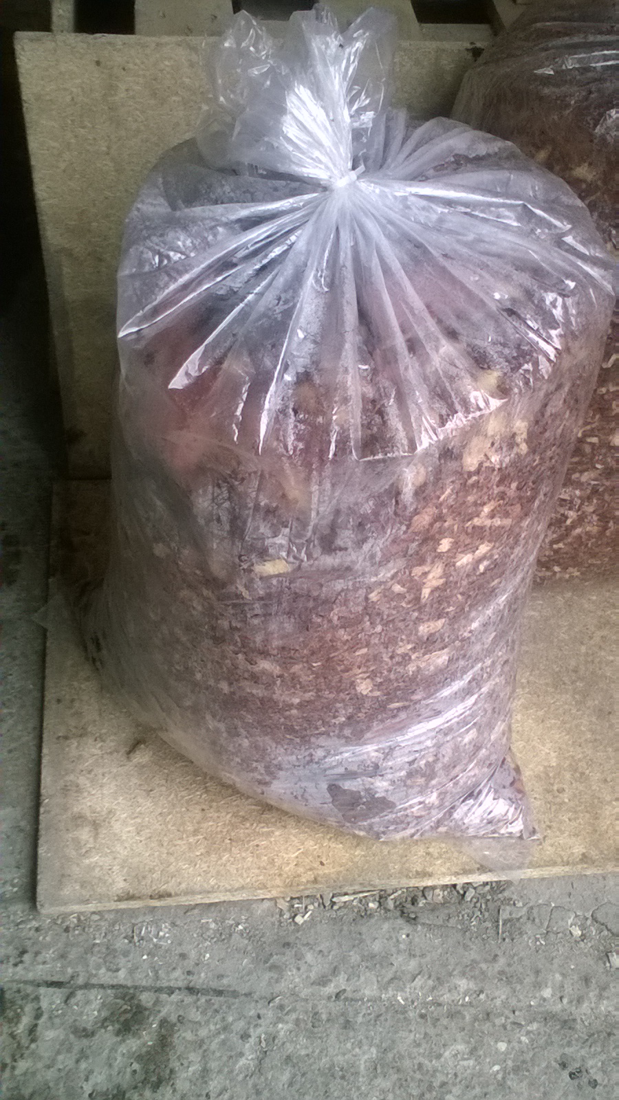 Щепа Калининград